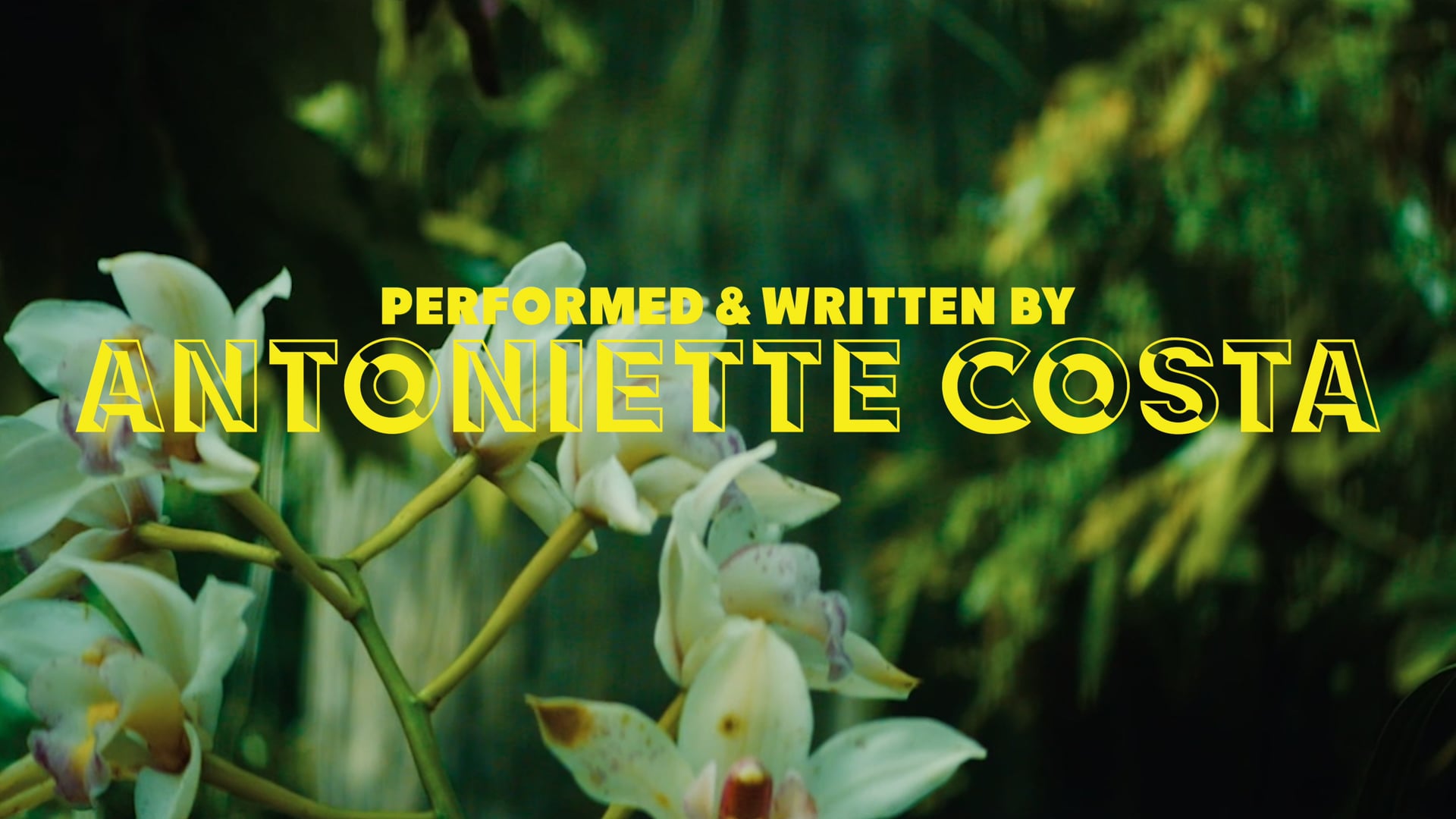 "CRUMBLES" Antoniette Costa