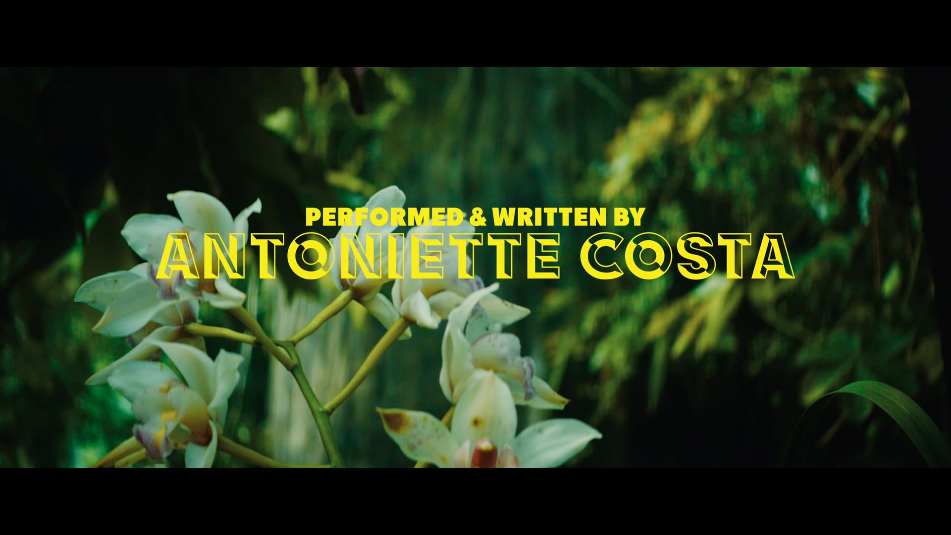 "CRUMBLES" Antoniette Costa