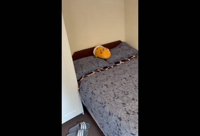 *En-Suite Double Room For Students* Main Photo