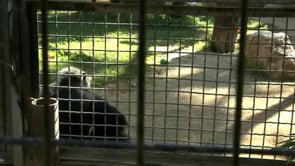 Zoo de Jerez