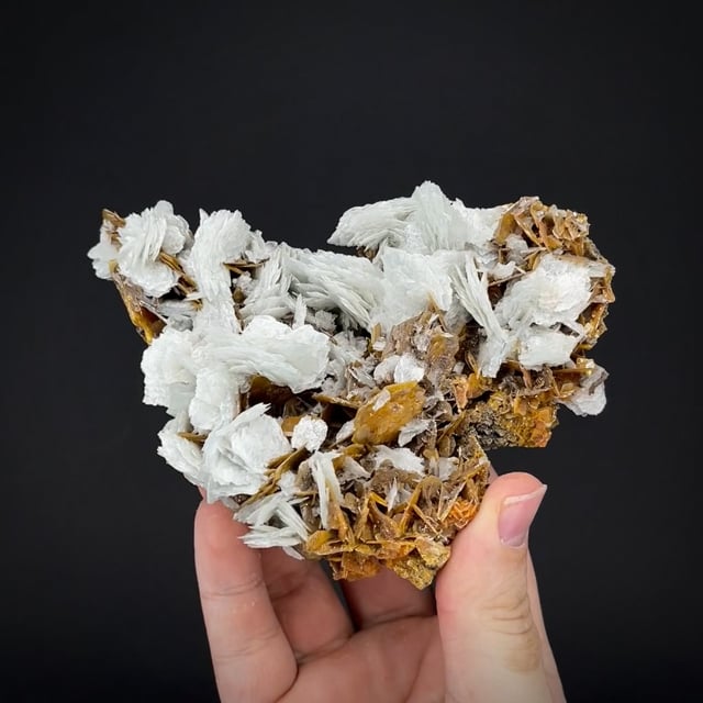 Baryte on Wulfenite (1994)