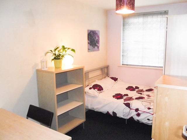 Female Student Apartment Available September 2024  Main Photo