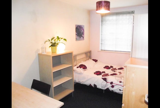 Female Student Apartment Available September 2024  Main Photo