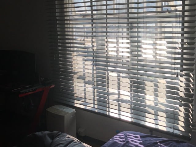 Double room in Hove  Main Photo