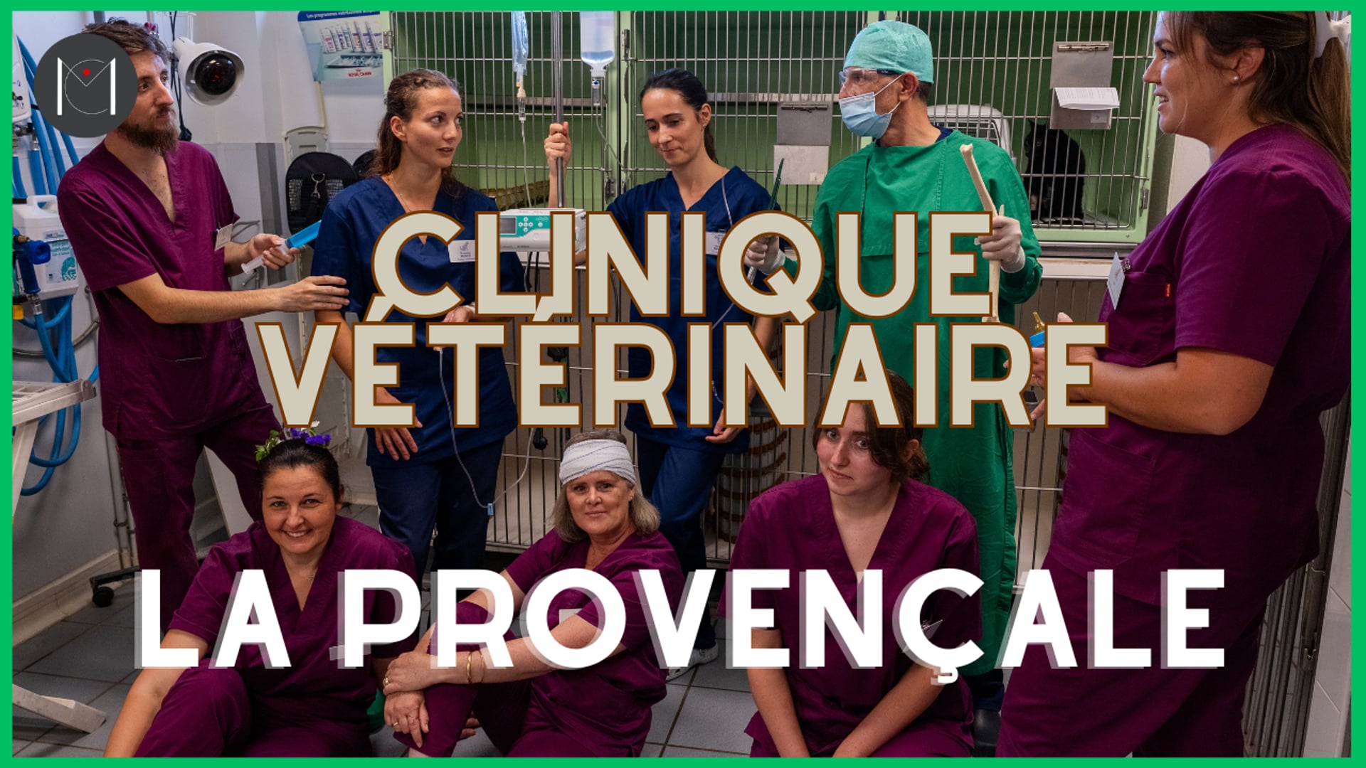 Le Brancard - Clinique Vétérinaire La Provençale