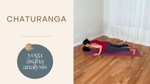 Chaturanga Yoga Asana Analysis
