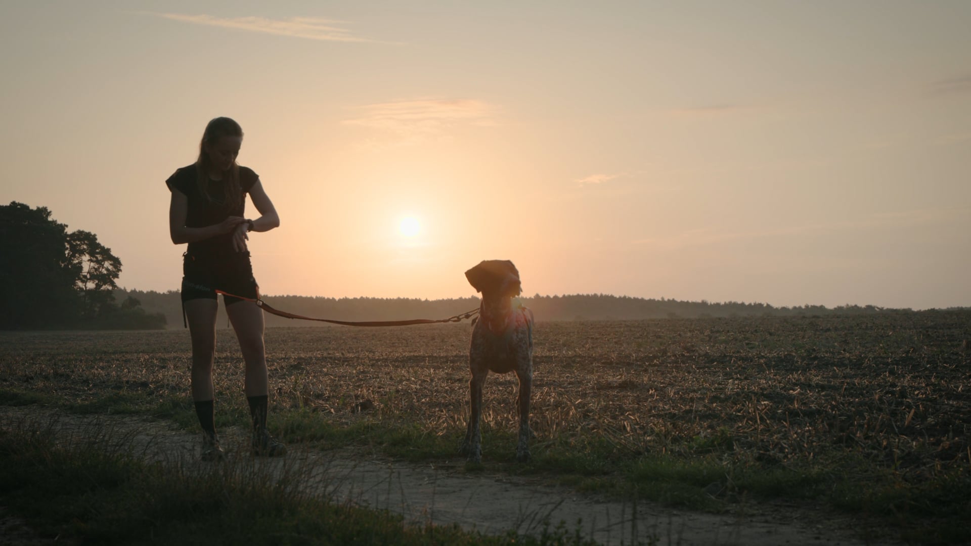 Canicross A Love Story