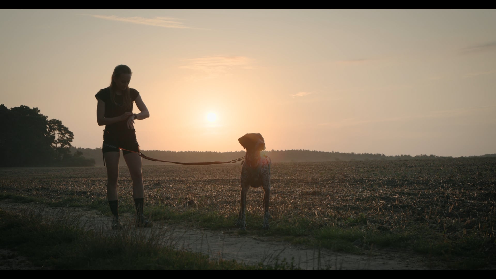 Canicross A Love Story