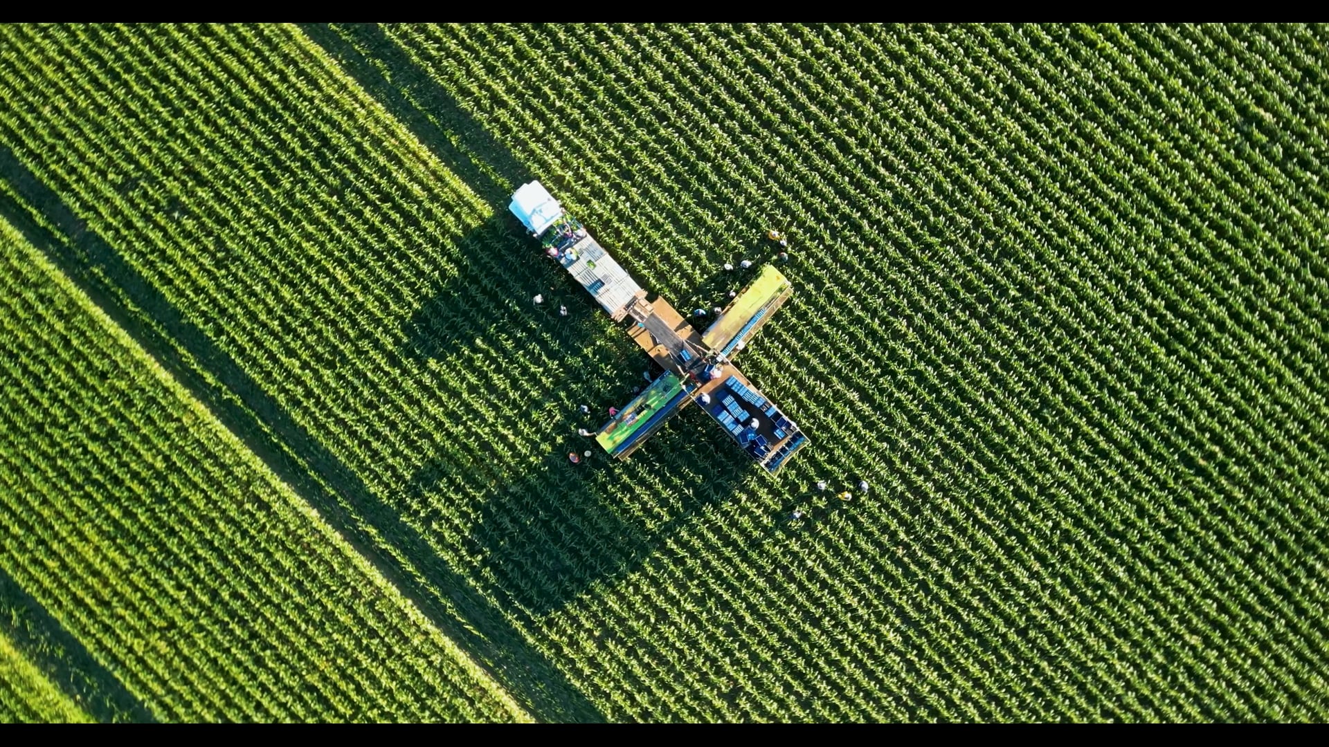 E1: Farmers on Soil Health