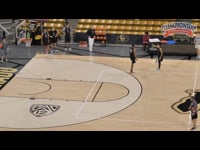 Preview Video #1