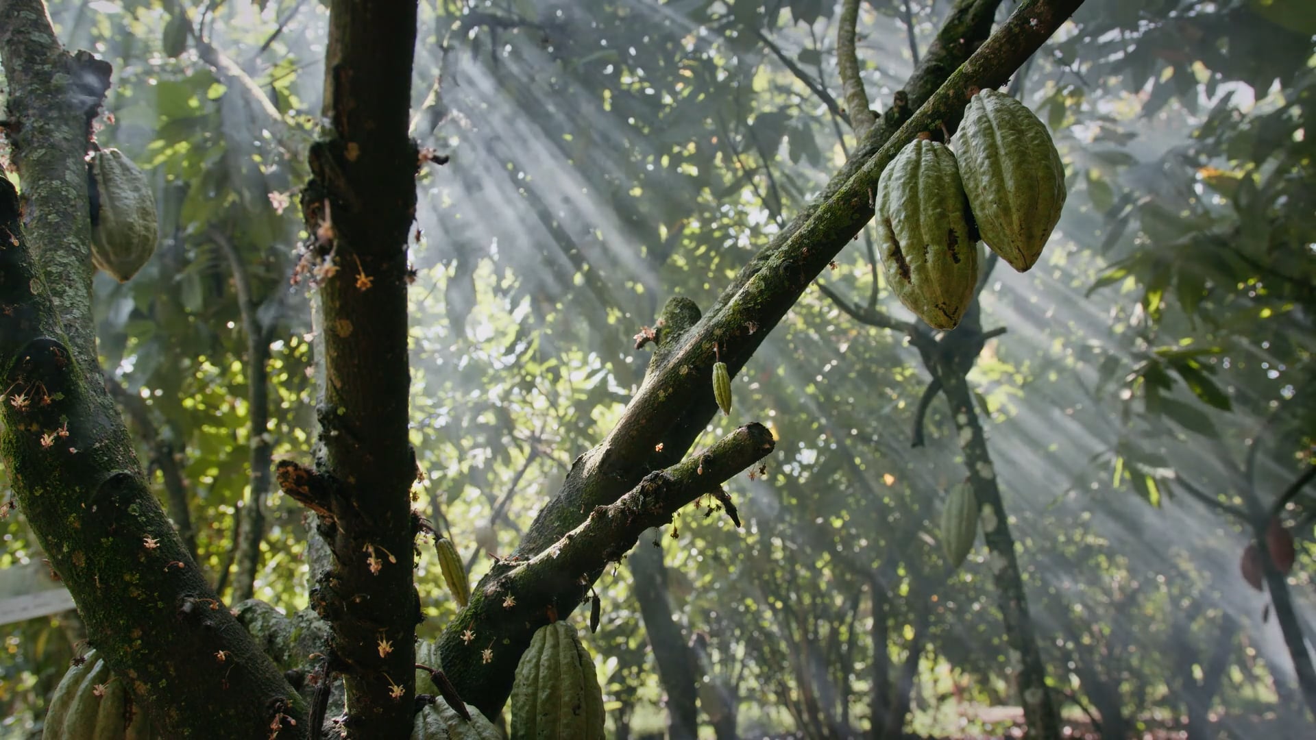 Agronomy Program, 2024