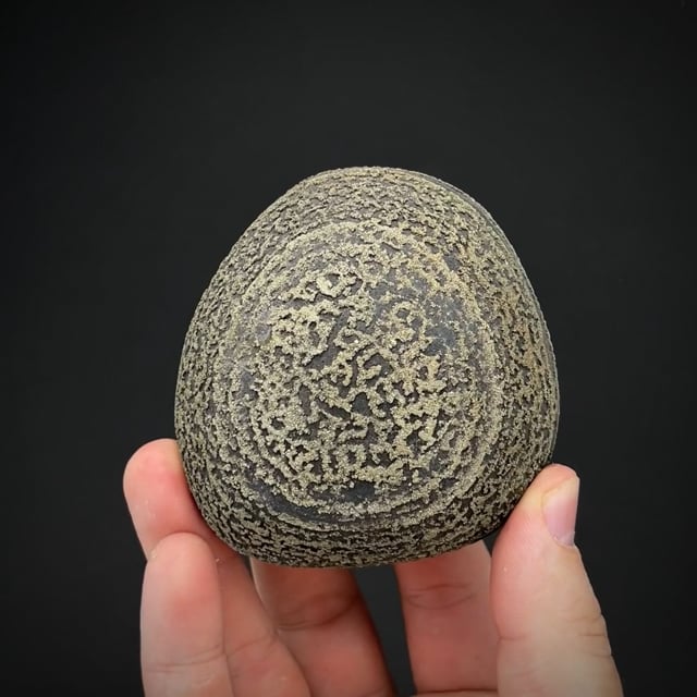 Pyrite concretion