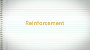 Reinforcement