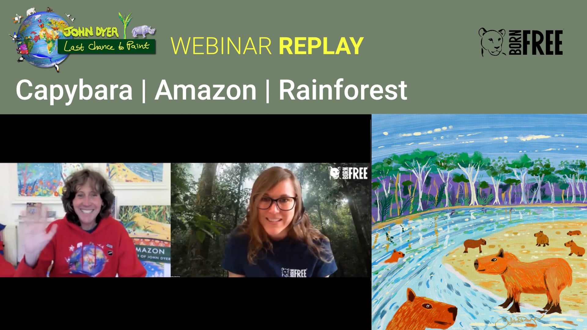 School webinar - learn about the Amazon rainforest whilst painting Capybara!