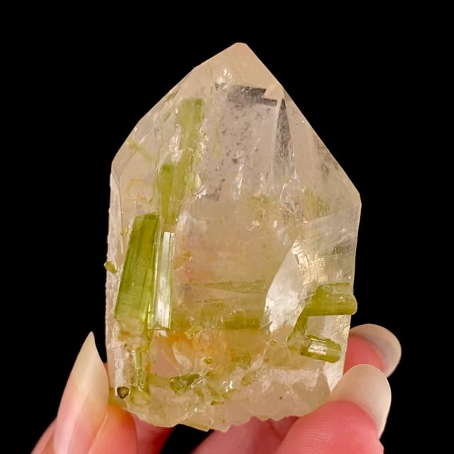 Tourmaline on/in Quartz