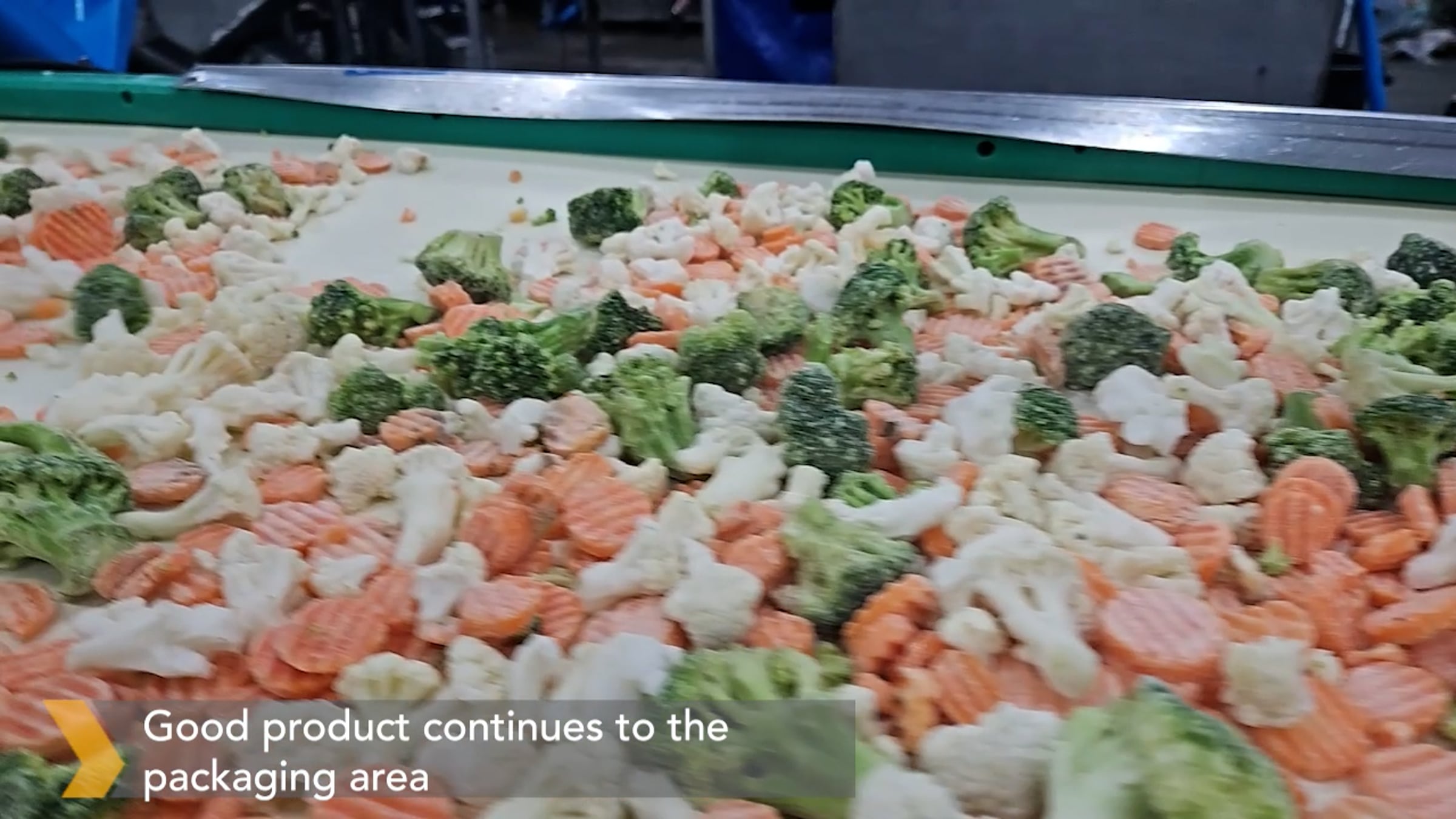 COMPASS Optical Sorter on IQF Kaiser Mix / Mixed Vegetables | Videos ...