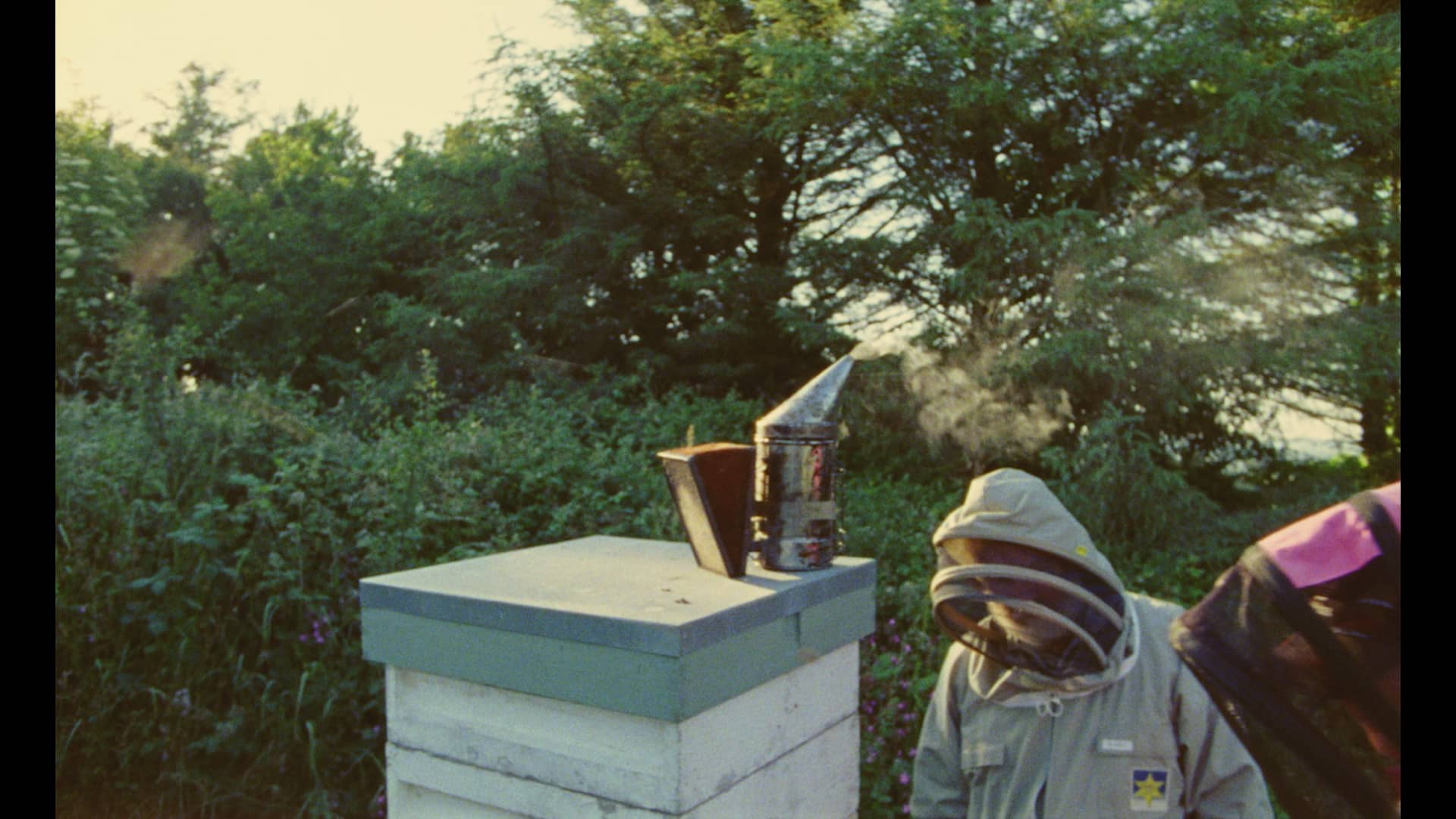 The Dancing Bees