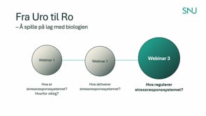 Webinar 3 Asker - Hva regulerer stresresponssytemet