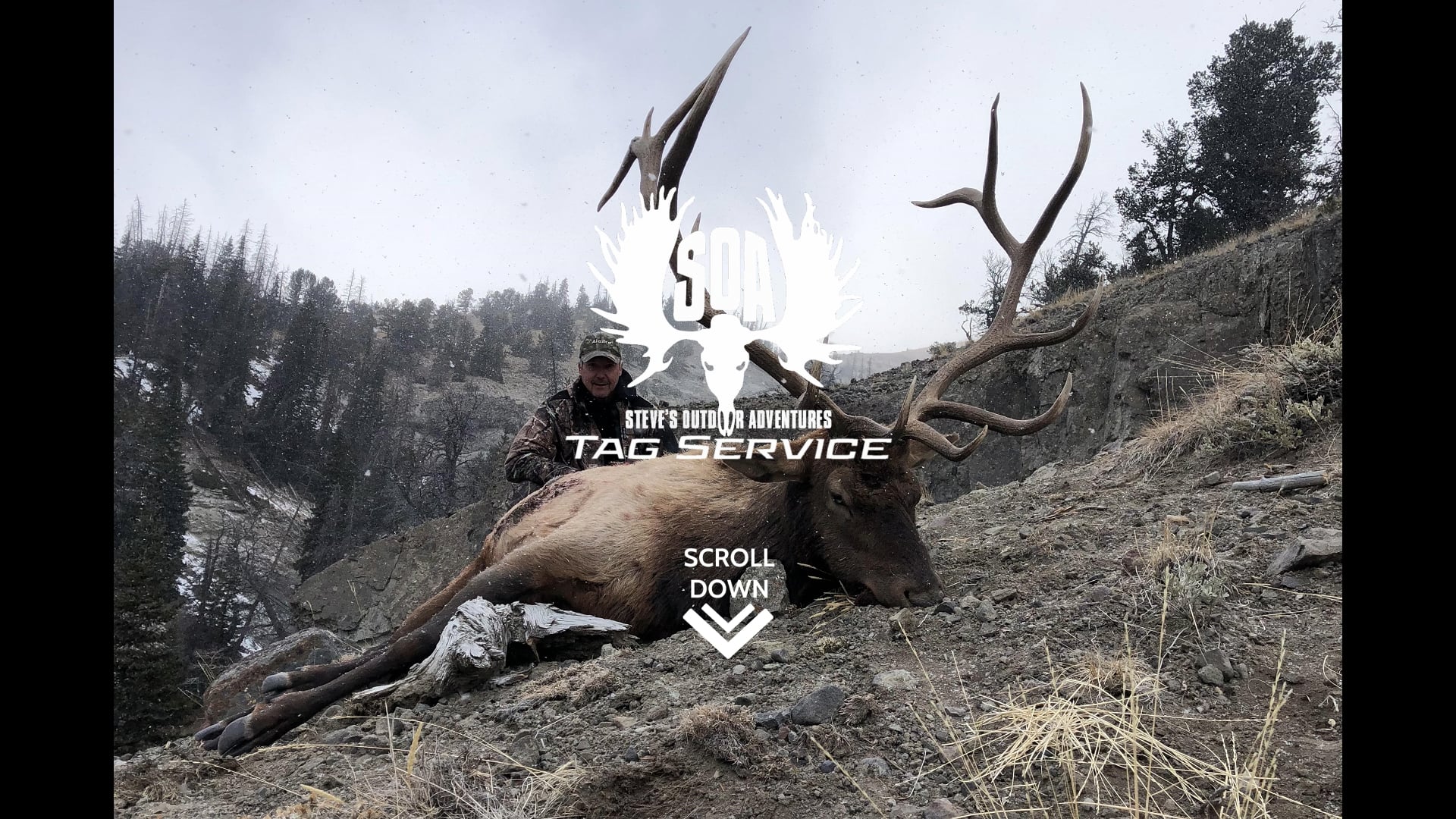 Tag Service | Steve's Outdoor Adventures