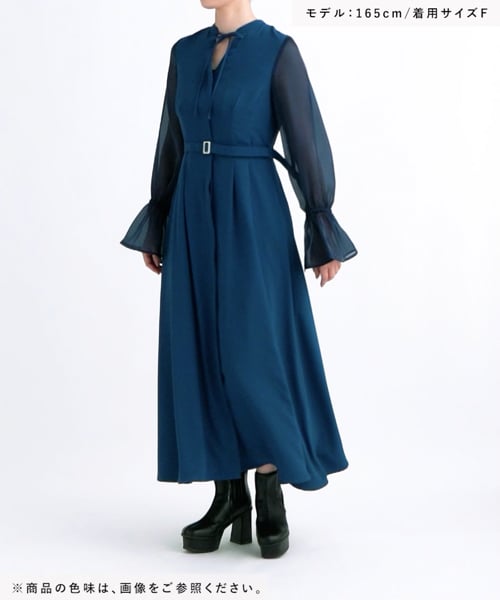 OCCASION SERIES LADIES】2WAYシアーフレアスリーブワンピース | [公式  