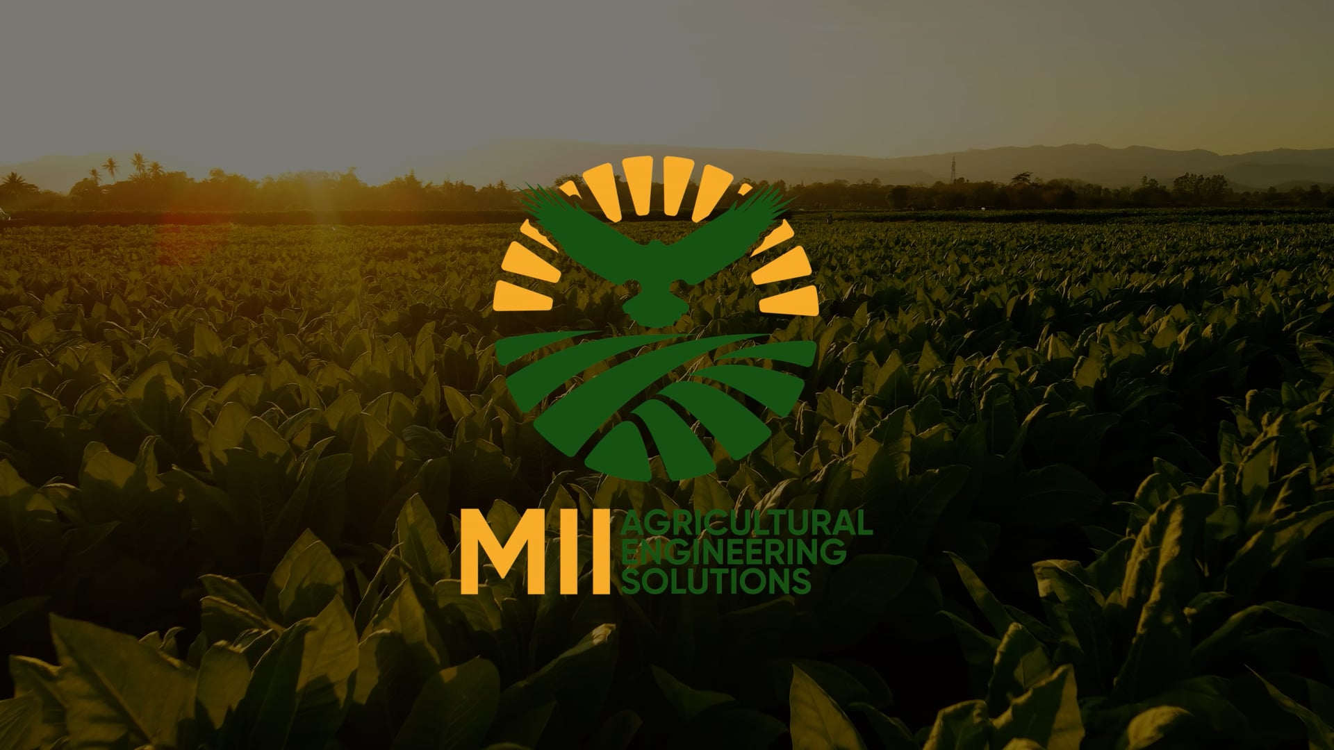 MII Agricultural Engineering Solutions