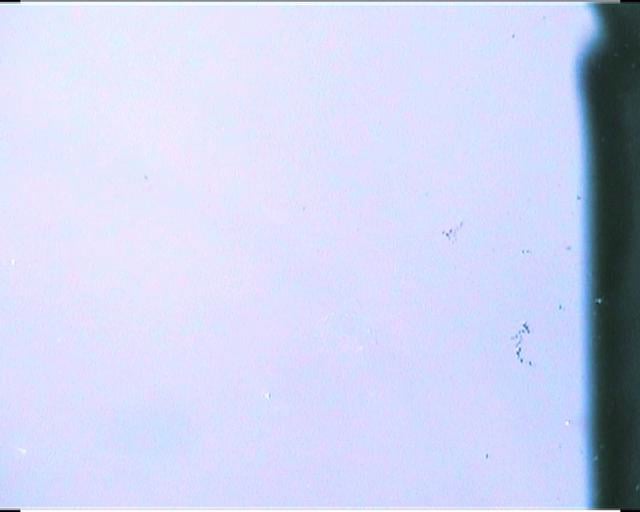 WATERCOLORED MOVEMENT, 2008.