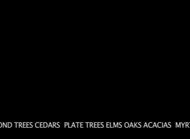FLORA INFERNALIS, 2010, VIDEO CANVAS.