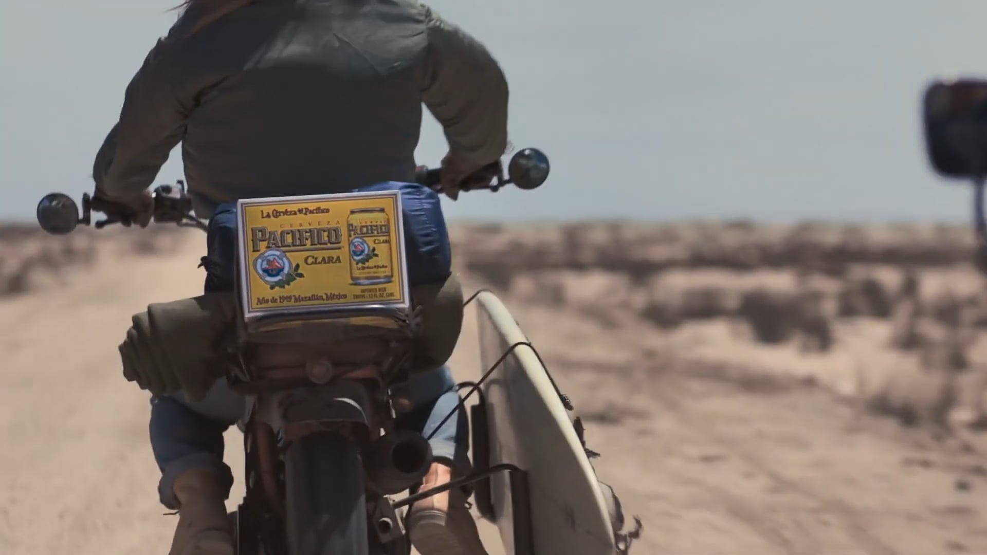 Pacifico beer