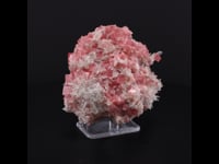 75373 - Rhodochrosite, Quartz