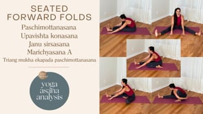 Seated Forward Folds Yoga Asana Analysis