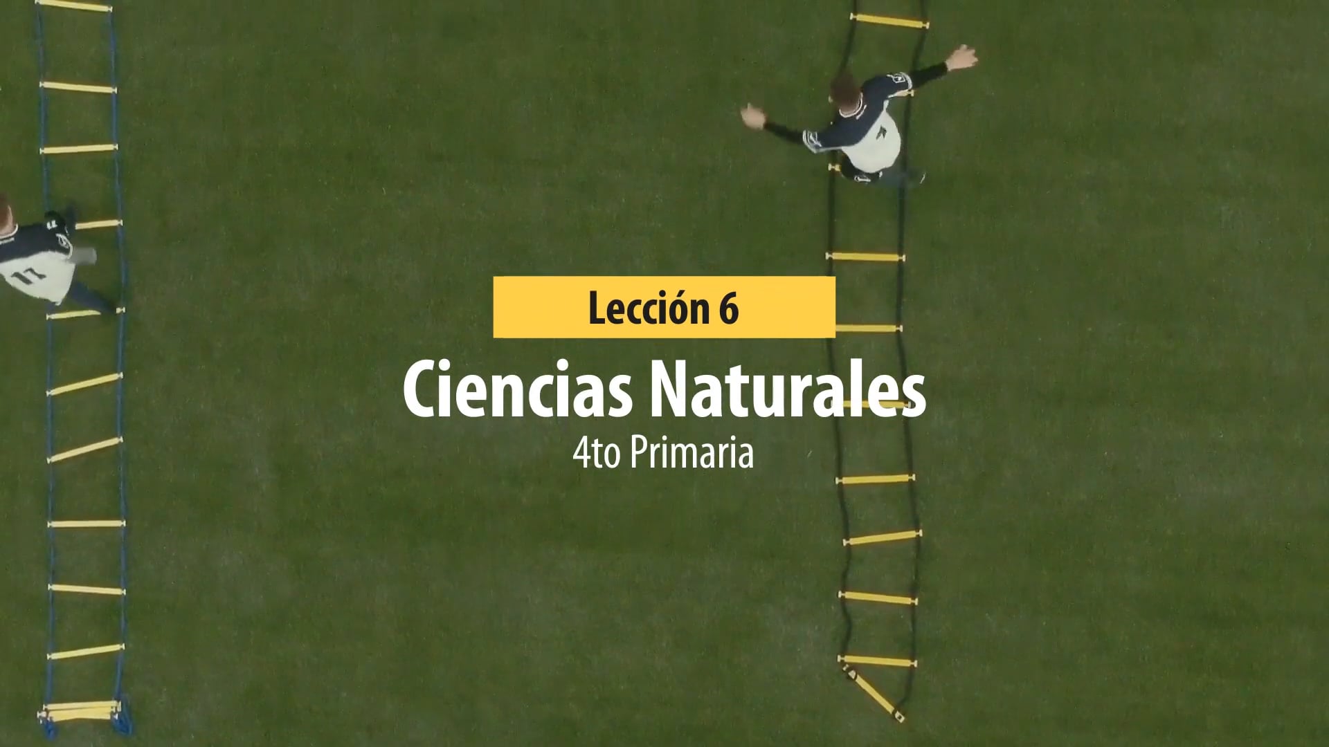 4p Mes 08 Vn Cn Lec06