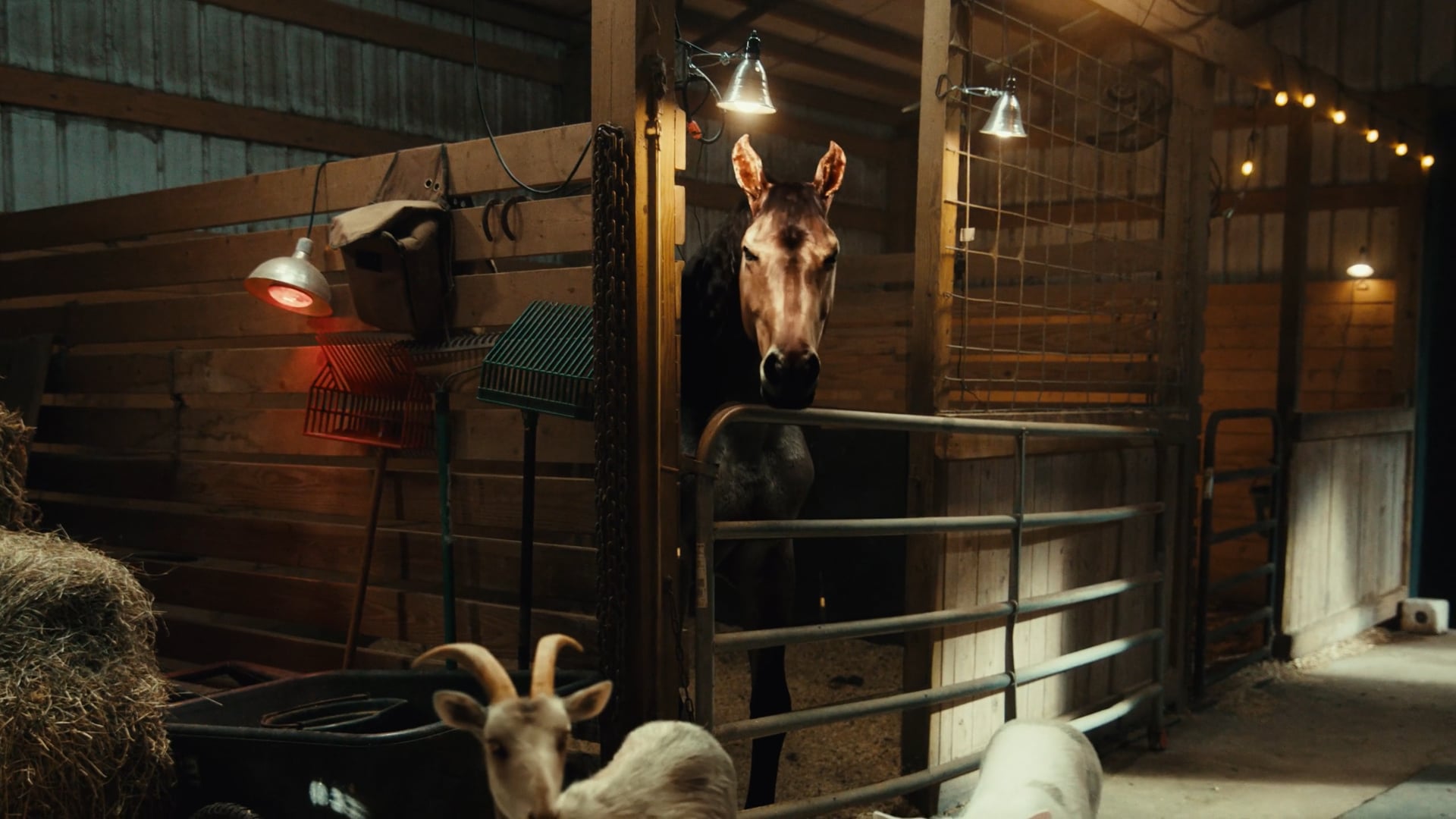 MATT MATHEWS (Director's Cut)