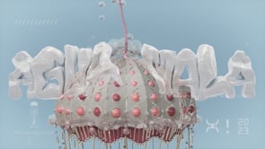 Jelly_Fish
