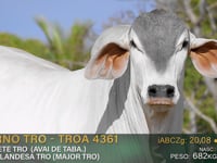 Lote 86