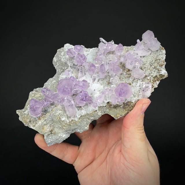 Quartz var. Amethyst with scepters