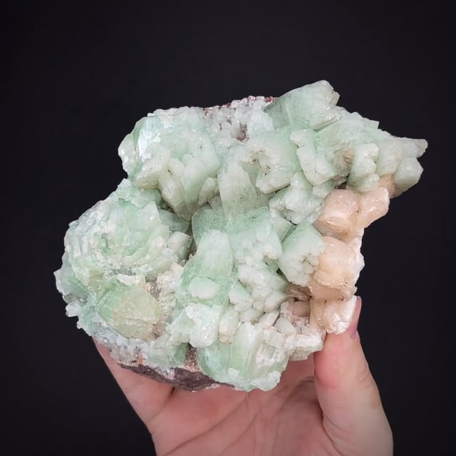 large Fluorapophyllite with Stilbite