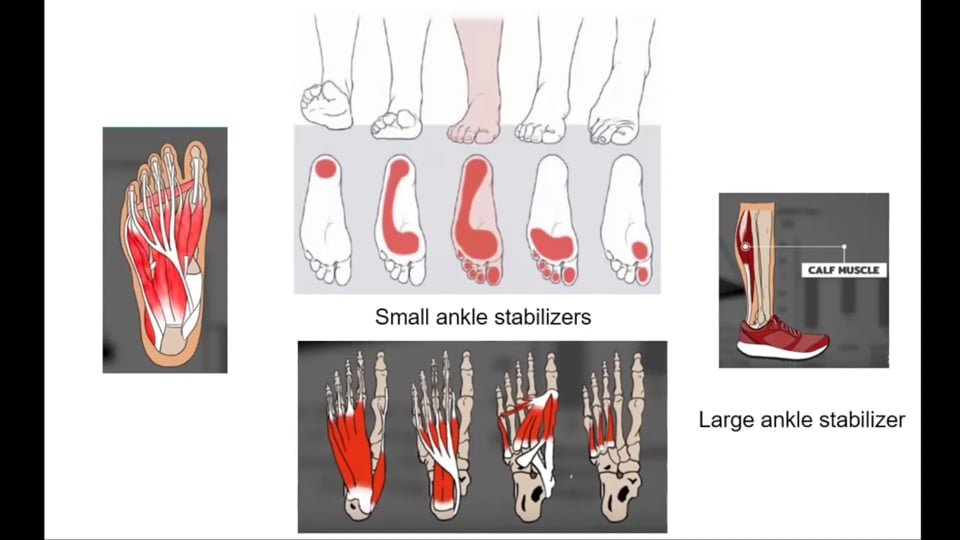 Foot Foundations #2