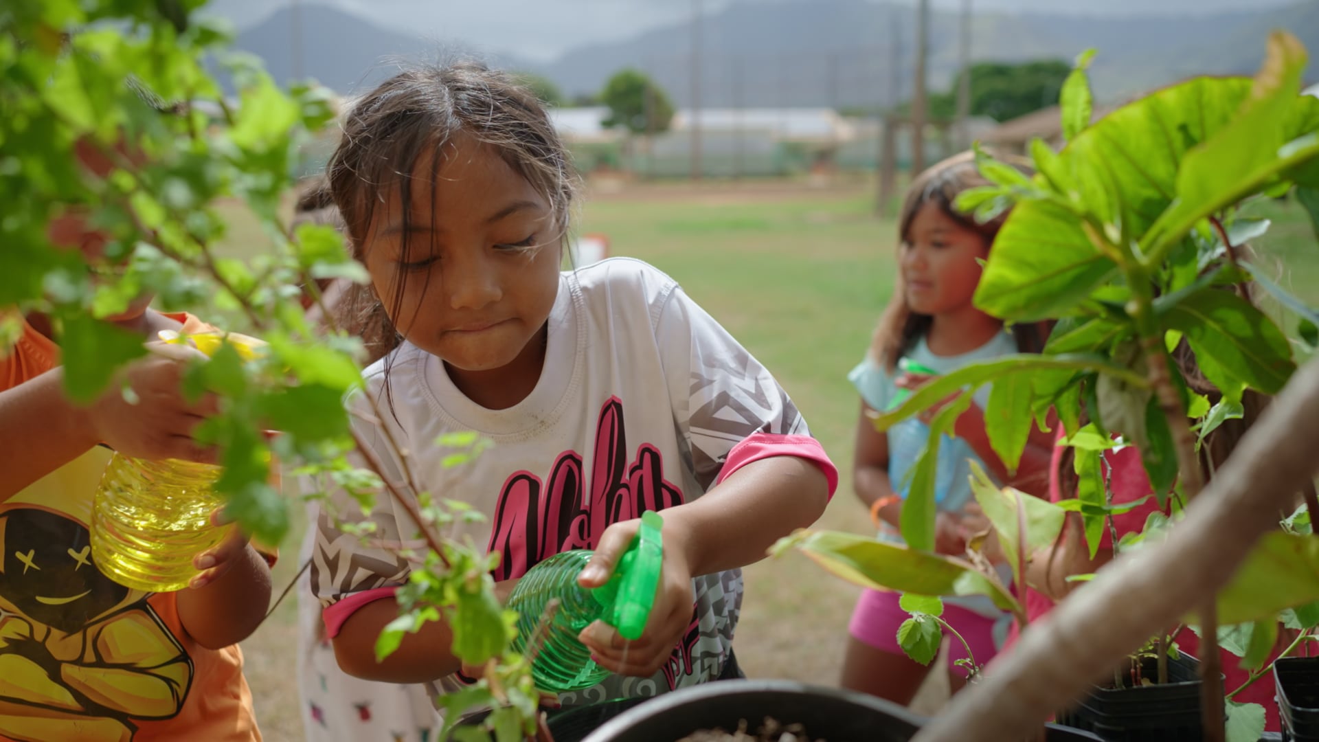 Hāʻawi Aloha with C&C Honoluluʻs Summer Fun Program 2024