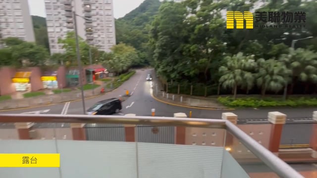 聚龍居 沙田 低層 1650046 售盤