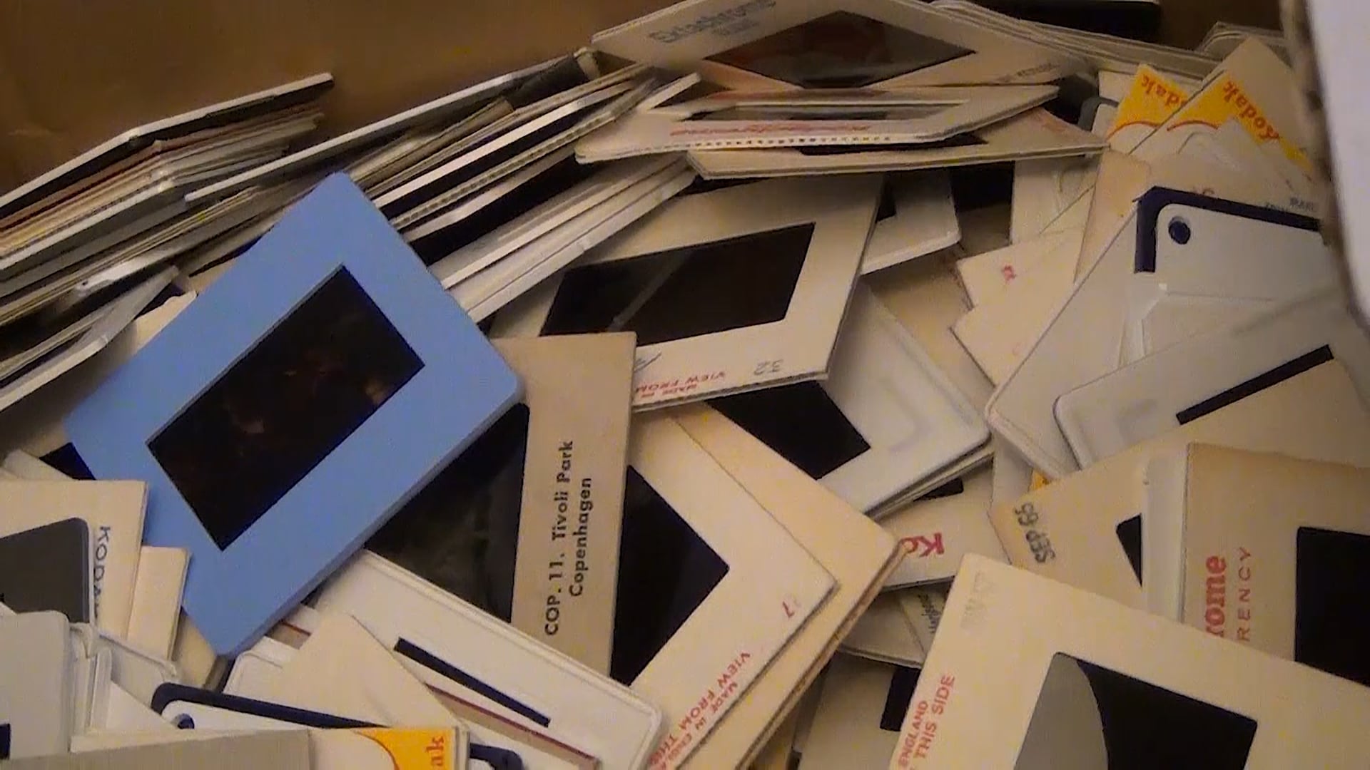 Poppy Parfitt – Fine Art