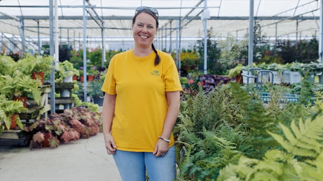 Outdoor Fern Spotlight | How to Grow and Care for Hardy Perennial Ferns