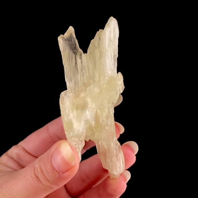 Spodumene (heavily etched ''floater'' crystal)