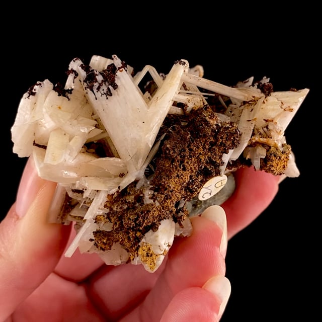 Cerussite (fine classic twinned crystals) on Limonite