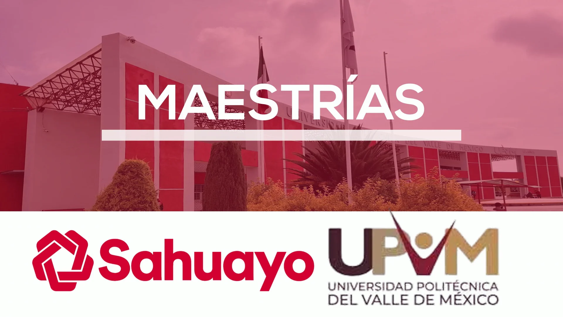 Maestrías UPVM