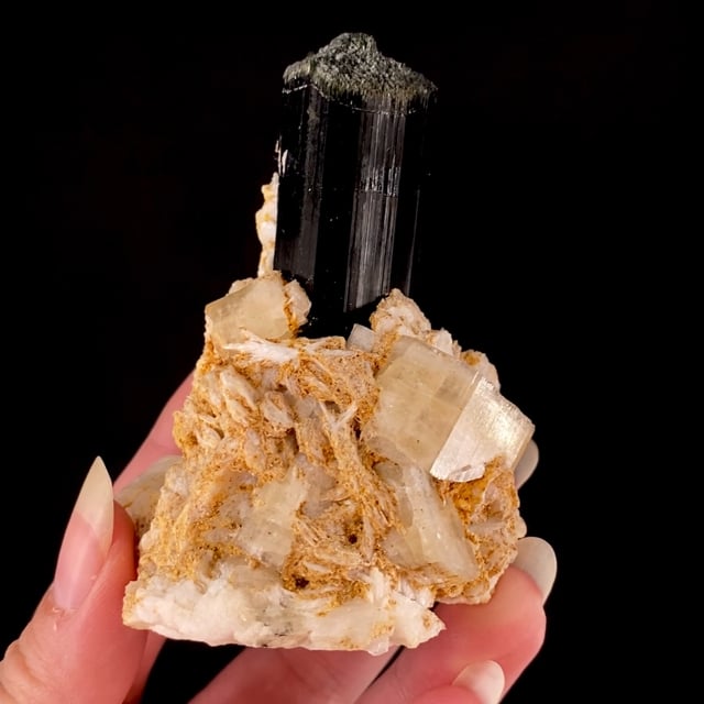 Tourmaline (Schorl) with Fluorapatite on Albite