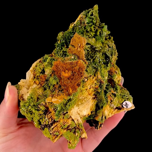 Pyromorphite (classic material)