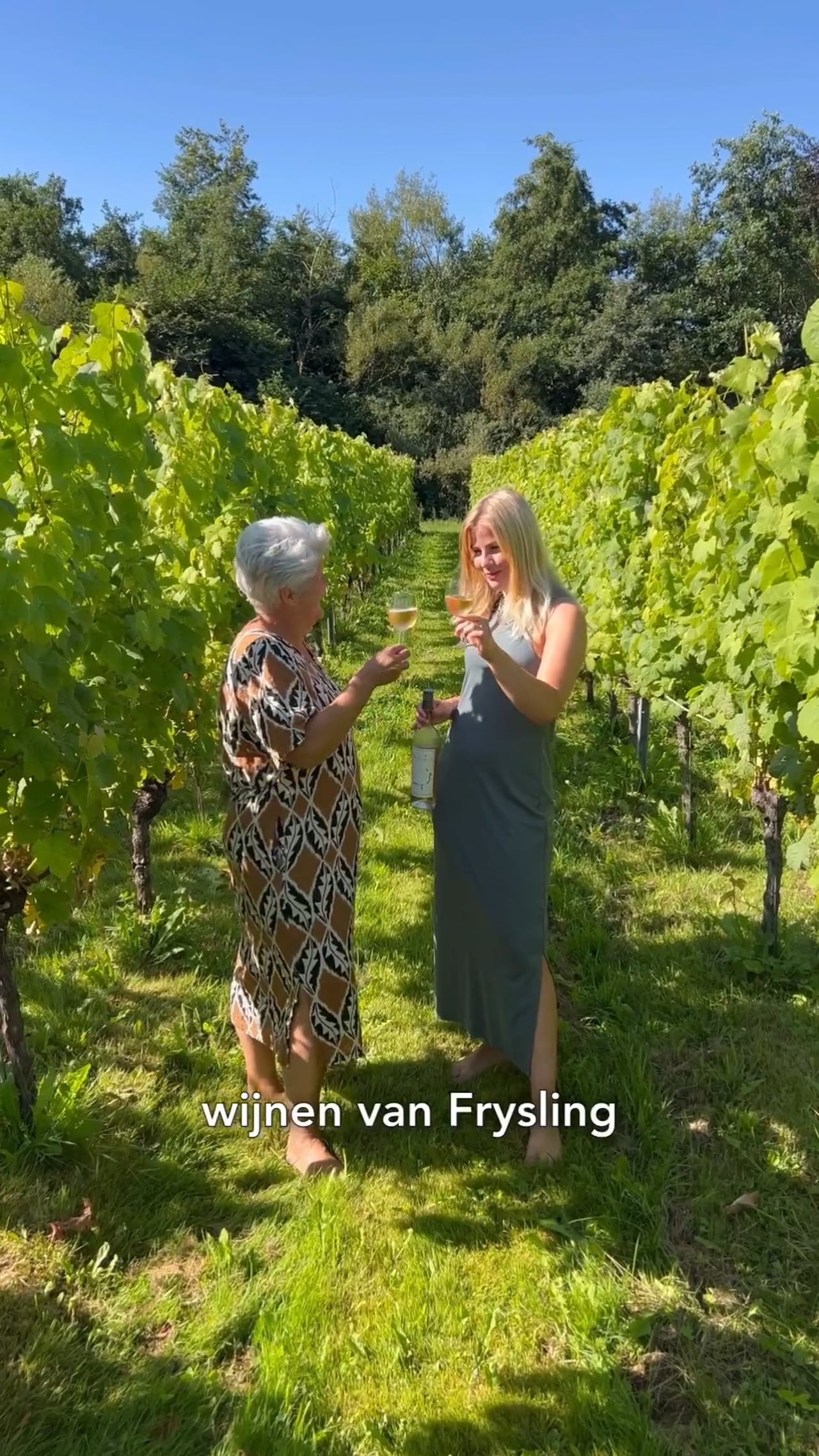 Van Friese bodem 4