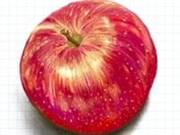 Procreate Soft Pastel Colored Pencil, a Brush Add-On by Fashion Workshop Bkk (Thumbnail 2 of 8)