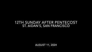 A Baptismal Sermon for the 12th Sunday After Pentecost