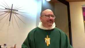 Enfleshed Testimony - 12th Sunday After Pentecost